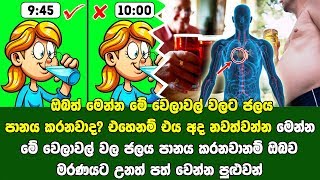 ඔබත් මෙන්න මේ වෙලාවල් වලට ජලය පානය කරනවනම් අදම එය නවත්වන්න | හේතුව මෙන්න..!