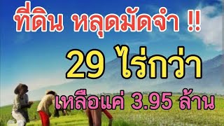 #ที่ดินสวยราคาถูก { เปิดขาย } 29 ไร่กว่า #ลดราคาเหลือ 3.95 ล้าน เลาขวัญติดสุพรรณ #บอยเศรษฐีนาคราช 💖💖