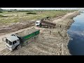 great action shantui bulldozer u0026 25ton dump trucks filling soil on a big lake