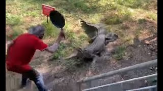 WATCH: Man fights off charging crocodile with frying pan,  goes viral
