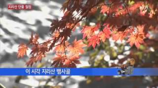 지리산 단풍 절정...산 전체가 울긋불긋 / YTN