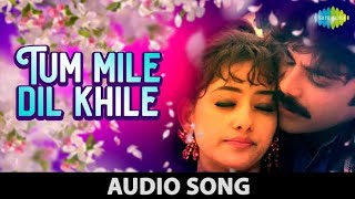 Tu Mile Dil Khile - Song (Full Audio) | Criminal Movie | Kumar S, Alka Y, Chitra