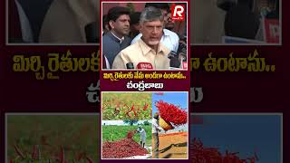 మిర్చి రైతులకు నేను అండగా ఉంటాను..చంద్రబాబు | #cmchandrababu #chandrababu #andhrapradesh #viewrtv