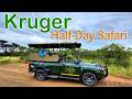 Kruger - Half-Day Safari! Ep 692