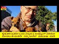 ವಿಶ್ವದ ಅತ್ಯಂತ ಅಪಾಯಕಾರಿ ಭಯಂಕರವಾದ ನಾಯಿಗಳು top 10 most harmful dogs in the world