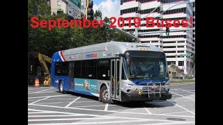 NeoplanDude | S6EP65: September 2019 Buses Part 1!