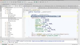 Profiling using CodeIgniter