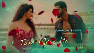 Tum Mere Ho Video Song full lyrics |movie- Hate Story IV ..........
