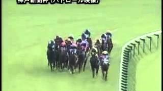 ドリームパスポート 神戸新聞杯 2006 パロトールビデオ