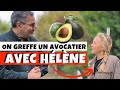 Comment greffer un avocatier (ou n'importe quelle autre plante) avec Hélène de Fougerolles ! 🥑🥑