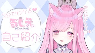 【自己紹介】はじめまして、るしえだよ🐱💕【新人Vtuber】