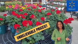 New Inventory at Walmart Garden Center for Spring | Best Deals