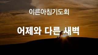 2024.11.19. 이른아침예배  룻기 3:14~18, 어제와 다른 새벽