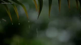 Relaxing Piano Music \u0026 Soft Rain Sounds For Sleep \u0026 Relaxation #rain