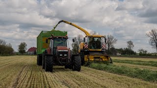 |Akcja Żyto 2020| Koszenie, Zbieranie ,Ubijanie| Fiatagri| New Holland| MP Agri