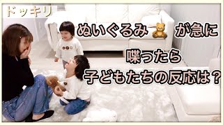 子どもに【初ドッキリ】絶対に喋ることがない ぬいぐるみが急に喋ったら‥？まさかの結果に！