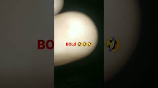 Bold Shorts Motivation