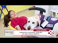 Hechos en Willax - DIC 08 - 2/3 - CONOZCA AL ASISTENTE PERRUNO DE UNA CLÍNICA INFANTIL | Willax