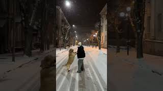 The first snow of winter, so happy #puppy #cute #golden #vlog #shorts