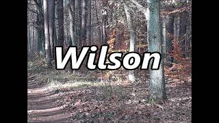Wilson as a surname   its meaning and origin