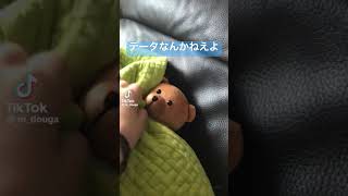 私が寝ている間に彼氏がサプライズでクマの人形置いて帰ってくれたけどまじでふざけるなよ#人形#寝る#サプライズ#TikTok#short#shorts