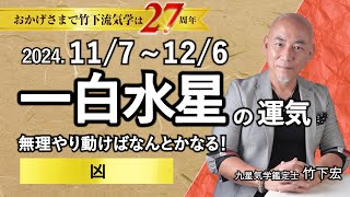 【占い】2024年11月 一白水星の運勢 「無理やり動けばなんとかなる！▲凶」（11月7日～ 12月6日）恋愛・家庭・仕事・注意点・今月の運気予報【竹下宏の九星気学】