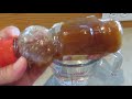 honey for food storage prepping survival why store honey best ways to use it