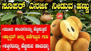 ಸಪೋಟಾ ಹಣ್ಣಿನ ಆರೋಗ್ಯ ಪ್ರಯೋಜನಗಳು | Health benefits of sapota | YOYO Kannada News