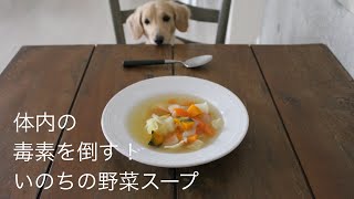 免疫力アップ我が家の定番メニュー(人間用)/ 犬と暮らす