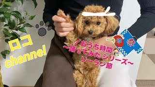 マルプー　ロコchannel Ep19 踊ってみた シリーズ　ソーラン節