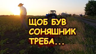 😲ТРАВИМО Конкурентів, А ЧИМ ЩЕ ТРЕБА ЗАЙМАТИСЯ ВЕЧЕРКОМ⁉️