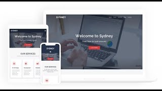 Sydney WordPress Homepage setup 2