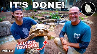 It's Done! *TURTLE POND* REVEAL