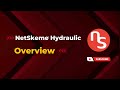 NetSkeme® Overview