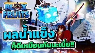 ผลน้ำแข็งก็ดีเหมือนกันนะเนี่ย!! | Roblox Blox Fruits