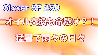 オイル交換も命がけ？！　猛暑で悶々の日々【Gixxer SF 250】【ジクサーsf250】