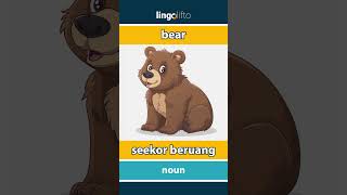 🇬🇧🇮🇩 bear - seekor beruang : learn English : ayo belajar bahasa Inggris