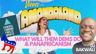 What Will Them Dems Do \u0026 Panafricanism