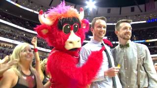 Gay marriage proposal at a Chicago Bulls game