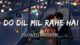 Do Dil Mil Rahe Hai [Slowed + Reverb] - Raj Barman | Aise Bhole Bankar Hai Baithe Slow Version Song