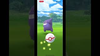 [ポケモンGO]メガゲンガー色違い狙い！ 色違い捕獲出来ず(　 ゜Д゜)#メガゲンガー#4人#色違い狙い