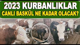 2023 Kurbanlıklar Hazırlanıyor! Bu Sene 2023 Kurbanlık Canlı Baskül Fiyatı Ne Kadar Olacak?