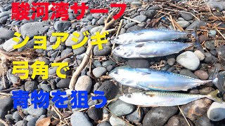 【青物釣り】駿河湾サーフ ショアジギ＆弓角で青物を狙う 2021.08.26