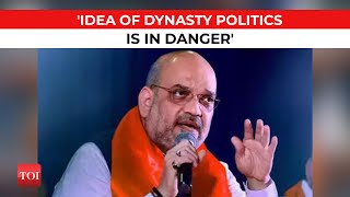 'Idea of dynasty politics, not idea of India, is in danger': Amit Shah to Congress