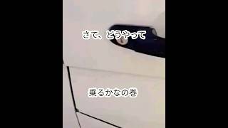 （ACCIDENT）さあ出発だ！とドアの鍵を開けるよお！　#shorts　#door #car