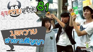 มุขควายเครียด 81 : มุขควายฮาตามสัญญา