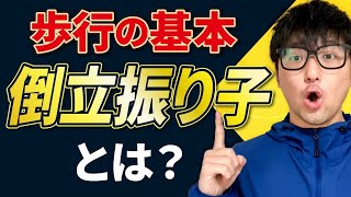 【歩行の基本】倒立振り子運動を解説