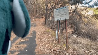 【デリカミニで行く】山梨県 林道 神戸東小尾線