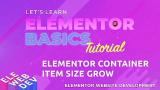 Elementor Container Item Size Grow
