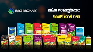 Signova || Micronutrients Fertilizer Manufacturing Industry || Best Fertilizer Company In India